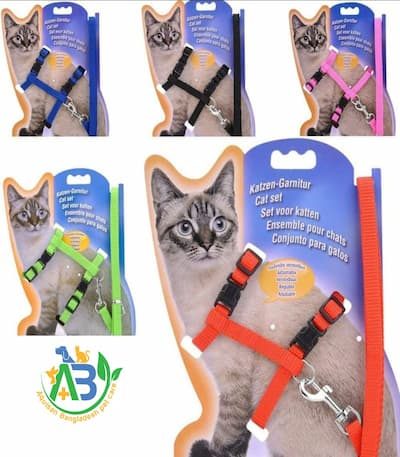 pet harness price in bangladesh