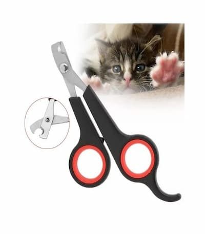 One of the best cat nail clippers on the market. These nail clippers are designed for small breeds: kittens, cats, and small dogs. Works well as large bird nail clippers too. Optimized design as cat nail cilppers for adult cats and dog nail clippers for small dogs. Thick stainless steel blades is strong and sharp to last for years. These nail clippers are quality controlled during the process of manufacturing. Parts will not loose or fall apart. The non-slip handles and built-in spring provide fast effortless cuts