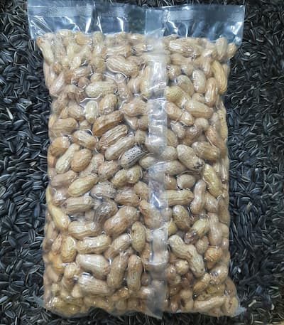 peanuts are a popular food for parrots and can be a healthy part of your bird's diet.