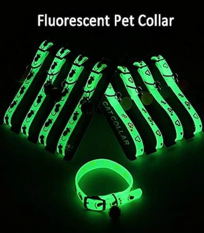 Radium Cat Collar price in bd