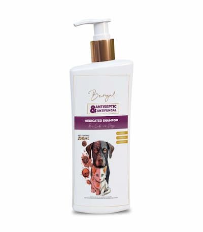 cat and dog antifungal shampoo