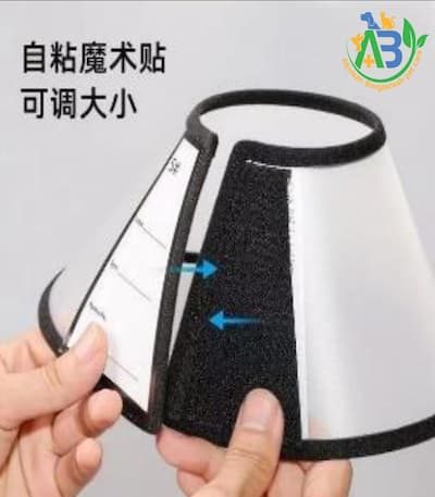 Cat E collar for cat price in bd