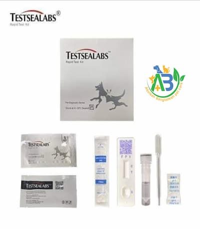 Rapid Flu test kit for Cat price in bd