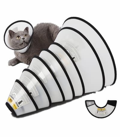 Cat E collar medium for cat