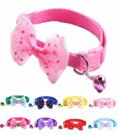 Bow Cat Collar