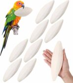 Cuttle Fish Bone for Birds