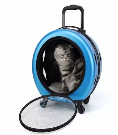 Cat trolley bag  Description Portable Cat Bag Pet Trolley Bag Pet Flight Case with Trolley Wheel Cat Bag Dogs Cat Carriers Bag for outdoor travel camping We understand pets are family. That's why we're here to provide top-quality products and service for your furry friends. From comfy beds to stylish apparel and caring grooming supplies, we've got you covered. Our products guarantee quality, safety, and style for both you and your pets. we're not just a pet shop – we're your faithful companions. Whatever you need, we're here to help. Thanks for choosing us. Let's make a cozy and joyful home for your furry pals! www.aquisanbd.com