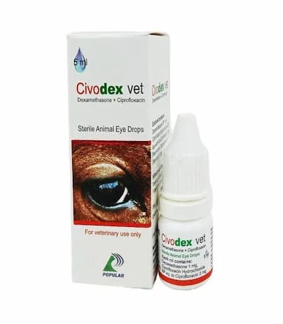 Civodex Vet Ophthalmic Solution