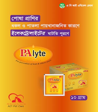 PA LYTE Saline for pet
