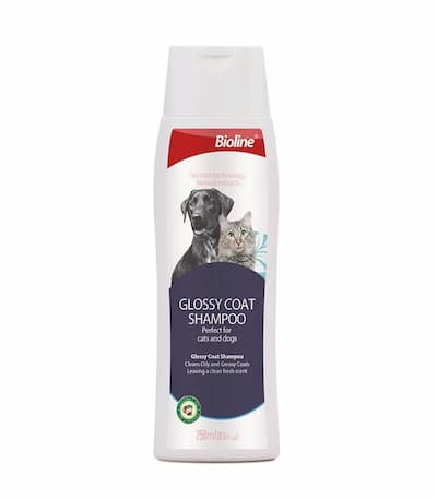 Bioline Glossy Coat Shampoo 250ml