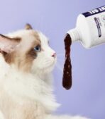 EASA Nutritional Supplement Gel for your pet 120gm