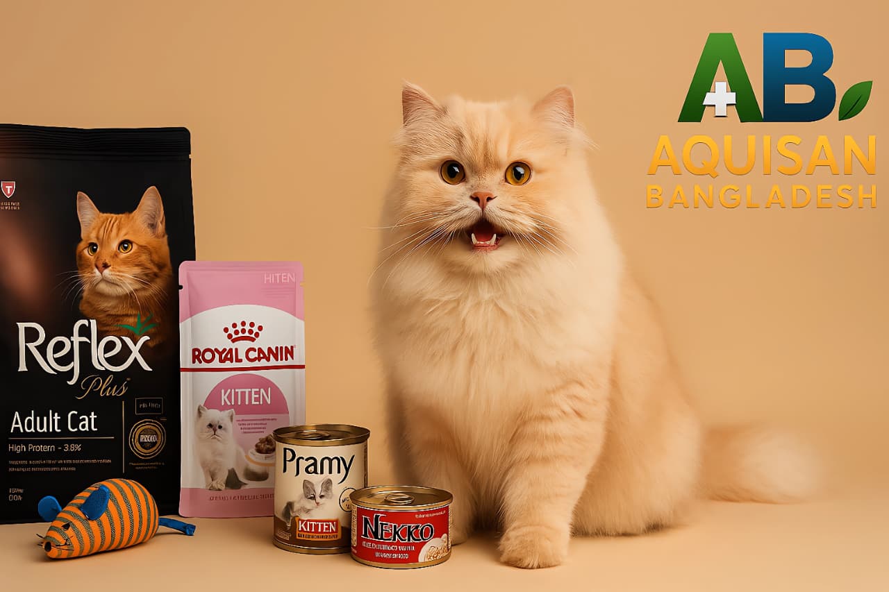 Pet Shop Cat Food In BD