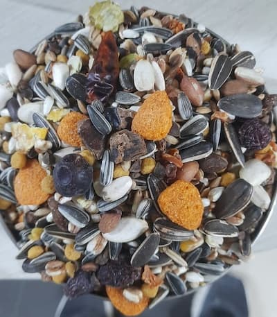 Expert Large Parrot Course 1Kg Repack