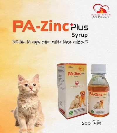 PA Zinc Plus Syrup 100m