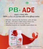 PB ADE 100ML