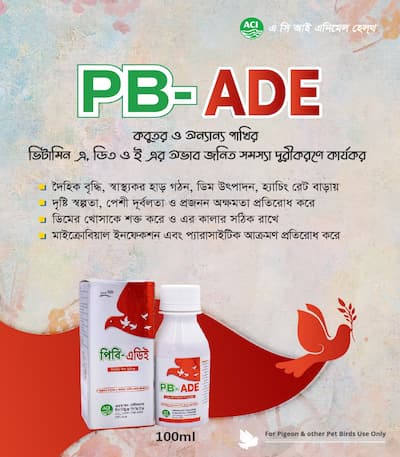 PB ADE 100ML