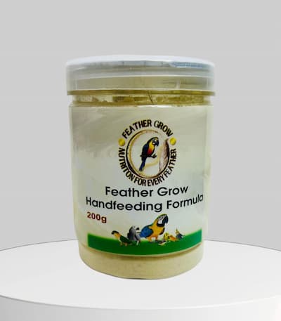 Feather Grow Hand feeding for baby Bird