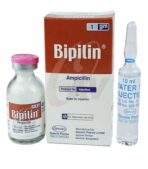 Bipilin 1gm injection Ampicillin pet Medicine