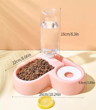 Cat food and water filter
