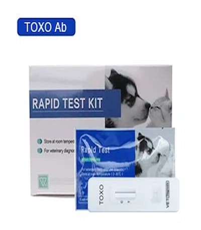 Toxoplasma Gondii Antibody Test for Dogs & Cats
