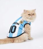 Fifa World Cup Argentina Jersey For Cats And Dogs