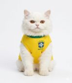 Fifa World Cup Brazil Jersey For Cats And Dogs price