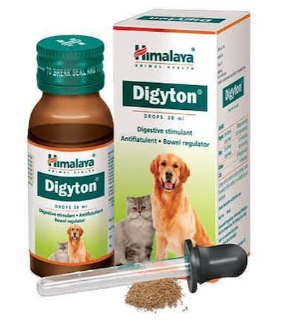 Digyton Drop (30 ml) syrup for cats and dogs digestion